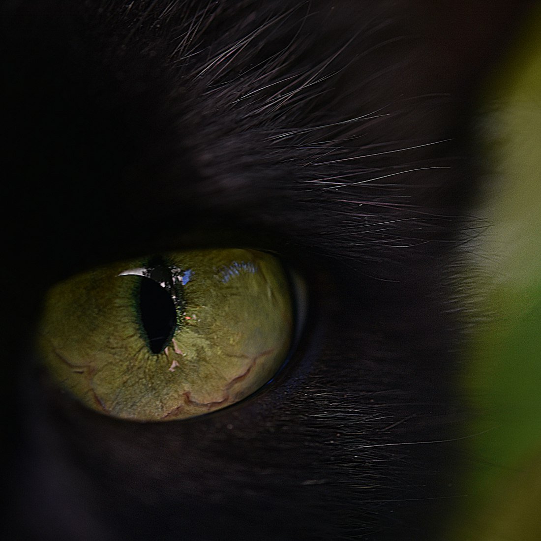 Versatile Steel Grating Solutions for Garden Landscapes