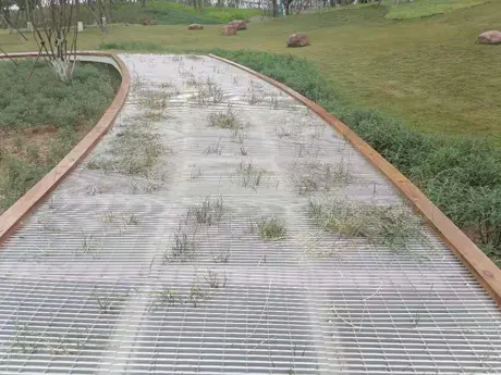 Park Trail